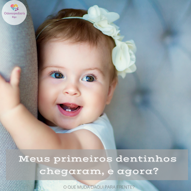 primeiros dentes